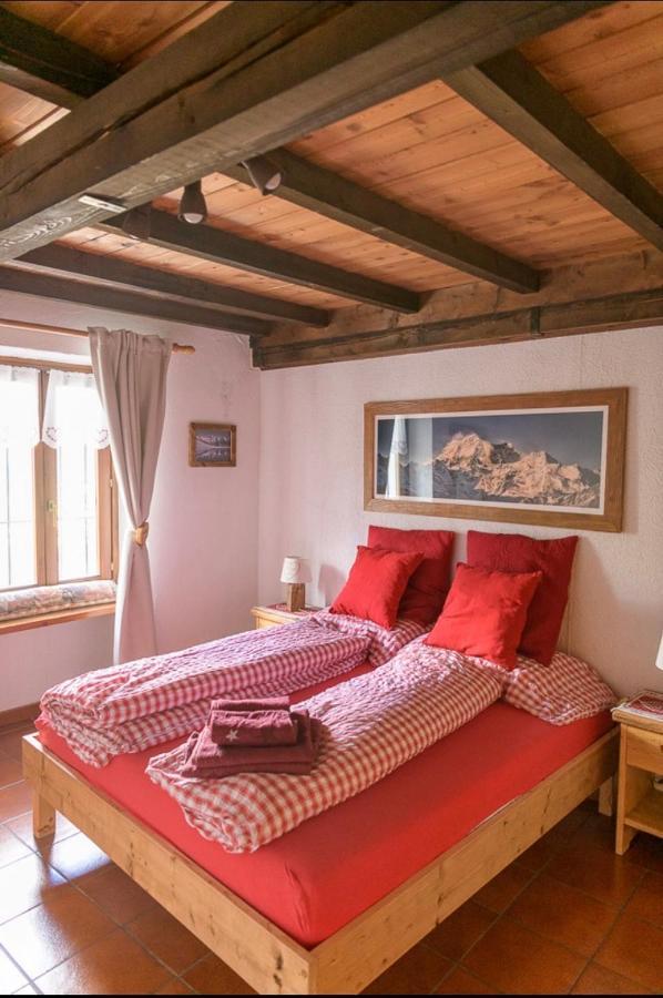 Coeur De Montagne Apartman Gignod Kültér fotó